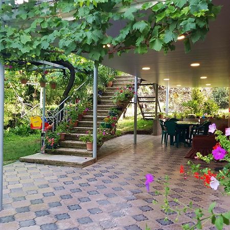 Valiko House In Telavi Hotell Exteriör bild