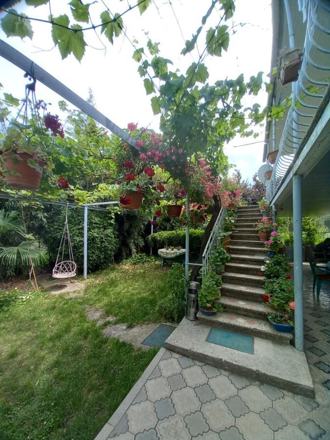 Valiko House In Telavi Hotell Exteriör bild