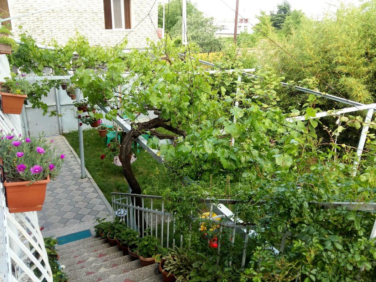 Valiko House In Telavi Hotell Exteriör bild